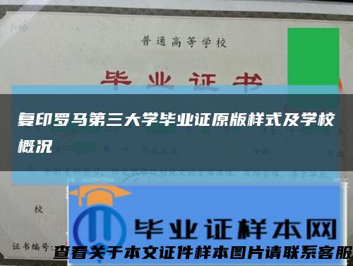 复印罗马第三大学毕业证原版样式及学校概况缩略图