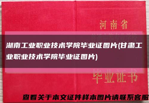 湖南工业职业技术学院毕业证图片(甘肃工业职业技术学院毕业证图片)缩略图