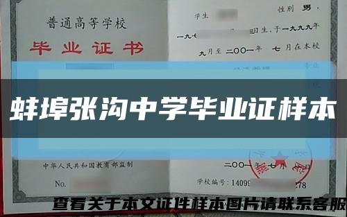 蚌埠张沟中学毕业证样本缩略图