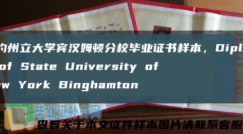纽约州立大学宾汉姆顿分校毕业证书样本，Diploma of State University of New York Binghamton缩略图