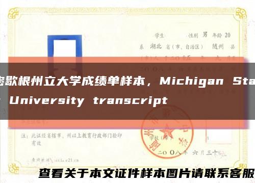 密歇根州立大学成绩单样本，Michigan State University transcript缩略图