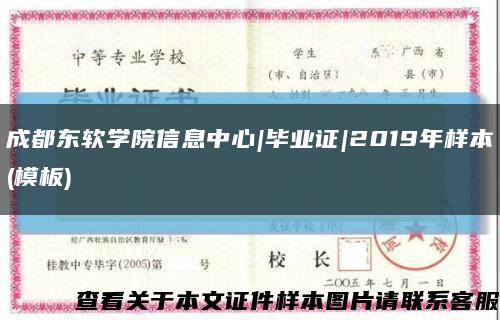 成都东软学院信息中心|毕业证|2019年样本(模板)缩略图