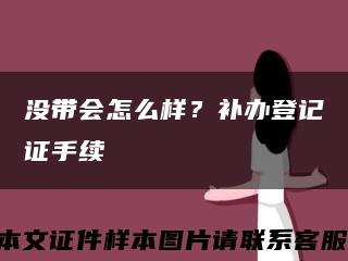 没带会怎么样？补办登记证手续缩略图