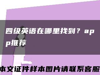 四级英语在哪里找到？app推荐缩略图