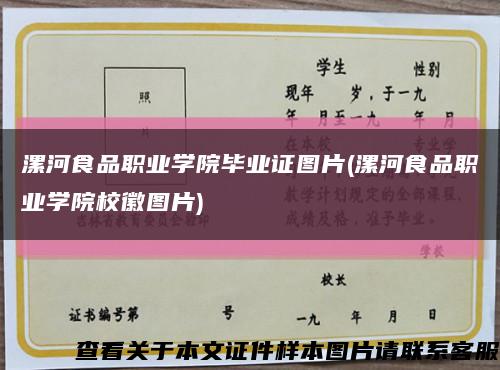 漯河食品职业学院毕业证图片(漯河食品职业学院校徽图片)缩略图
