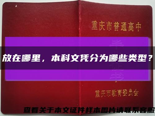 放在哪里，本科文凭分为哪些类型？缩略图