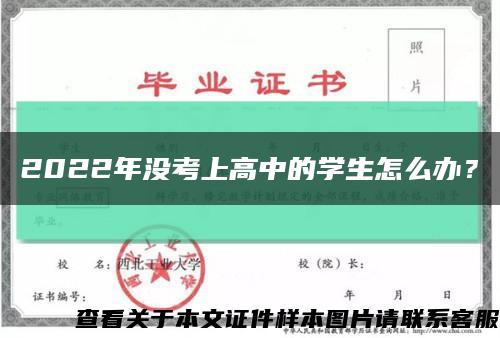 2022年没考上高中的学生怎么办？缩略图