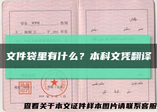 文件袋里有什么？本科文凭翻译缩略图
