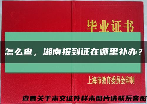 怎么查，湖南报到证在哪里补办？缩略图