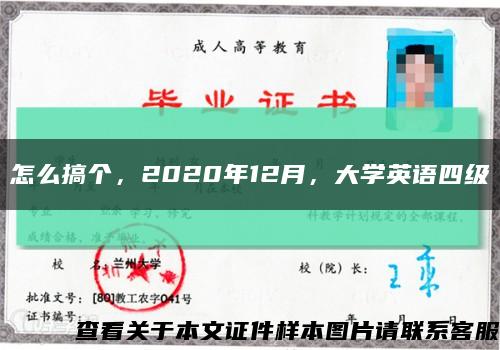 怎么搞个，2020年12月，大学英语四级缩略图