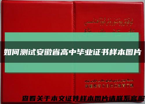 如何测试安徽省高中毕业证书样本图片缩略图