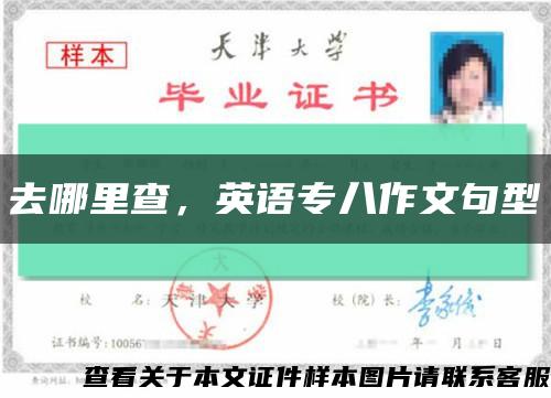 去哪里查，英语专八作文句型缩略图