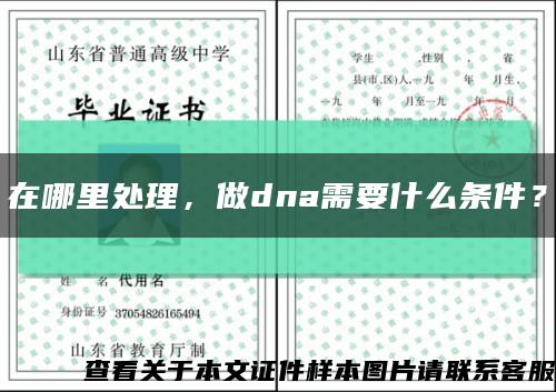 在哪里处理，做dna需要什么条件？缩略图