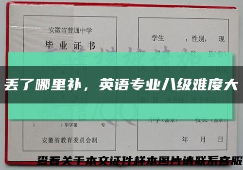 丢了哪里补，英语专业八级难度大缩略图