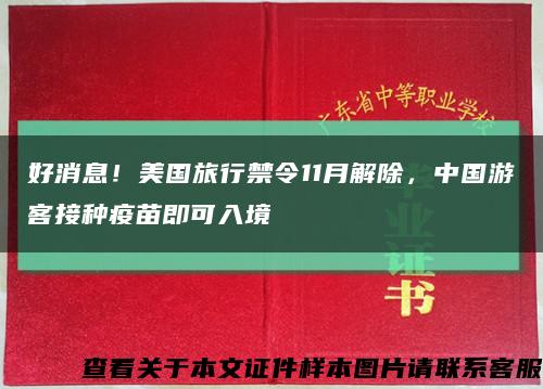好消息！美国旅行禁令11月解除，中国游客接种疫苗即可入境缩略图