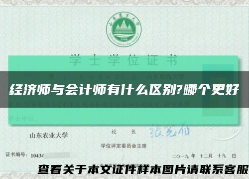 经济师与会计师有什么区别?哪个更好缩略图