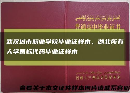 武汉城市职业学院毕业证样本，湖北所有大学国标代码毕业证样本缩略图