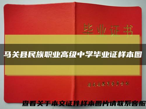 马关县民族职业高级中学毕业证样本图缩略图