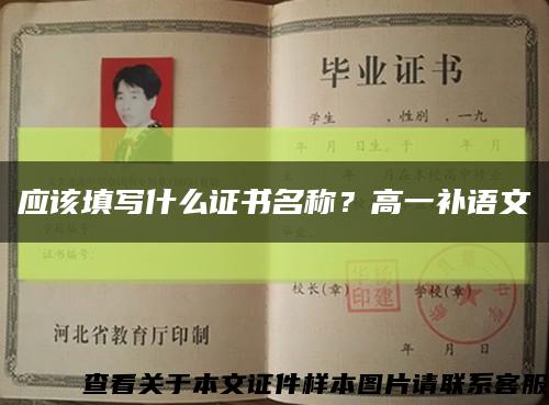 应该填写什么证书名称？高一补语文缩略图