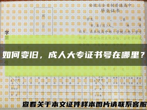 如何变旧，成人大专证书号在哪里？缩略图