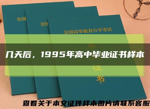 几天后，1995年高中毕业证书样本缩略图
