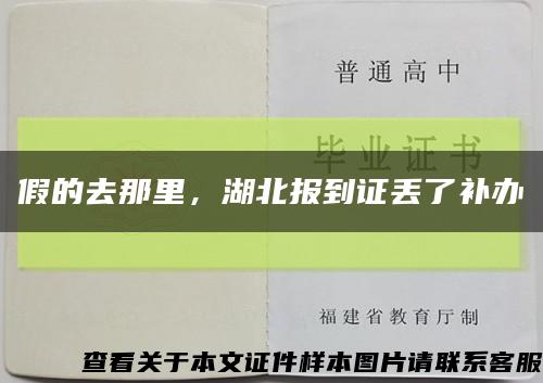 假的去那里，湖北报到证丢了补办缩略图