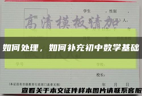 如何处理，如何补充初中数学基础缩略图