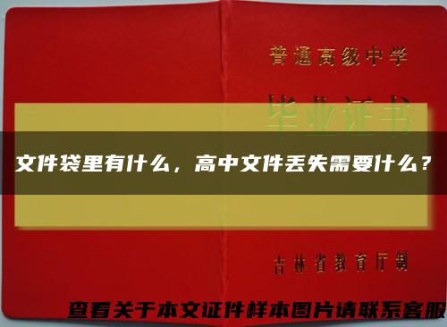 文件袋里有什么，高中文件丢失需要什么？缩略图