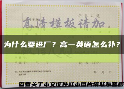 为什么要进厂？高一英语怎么补？缩略图