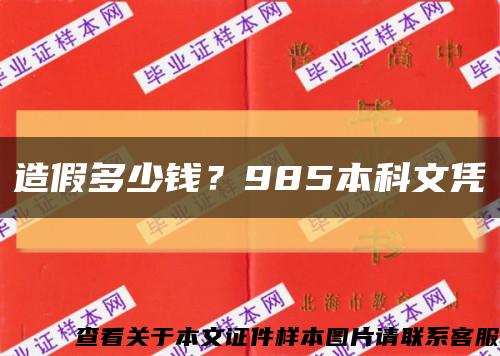 造假多少钱？985本科文凭缩略图
