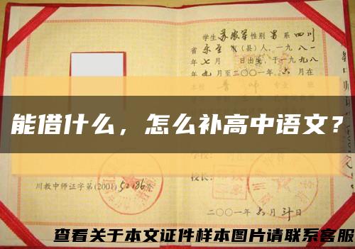 能借什么，怎么补高中语文？缩略图