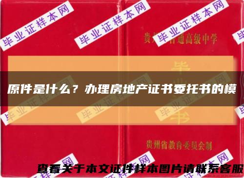 原件是什么？办理房地产证书委托书的模缩略图
