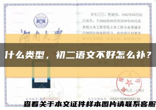 什么类型，初二语文不好怎么补？缩略图