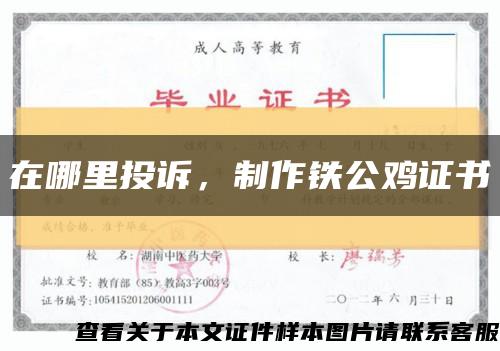 在哪里投诉，制作铁公鸡证书缩略图