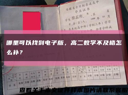 哪里可以找到电子版，高二数学不及格怎么补？缩略图