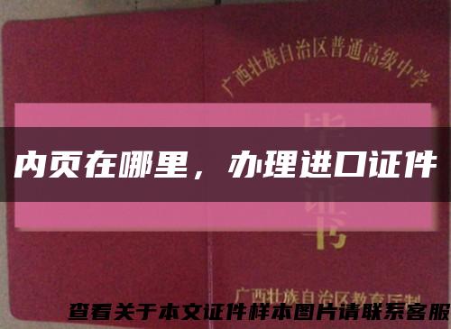 内页在哪里，办理进口证件缩略图