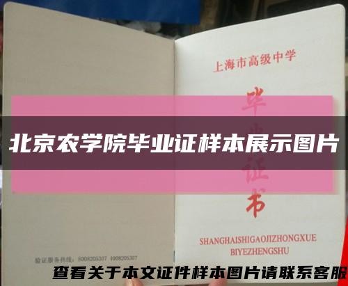 北京农学院毕业证样本展示图片缩略图