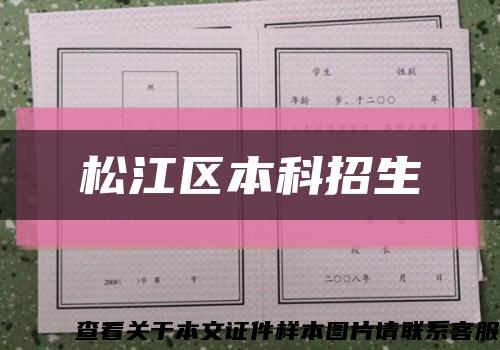 松江区本科招生缩略图