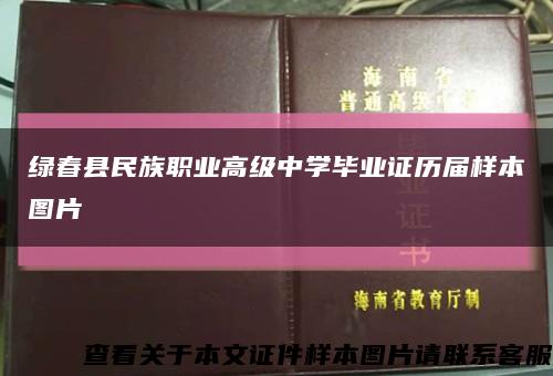绿春县民族职业高级中学毕业证历届样本图片缩略图