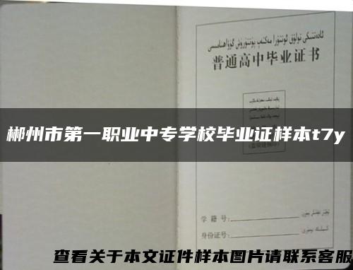 郴州市第一职业中专学校毕业证样本t7y缩略图