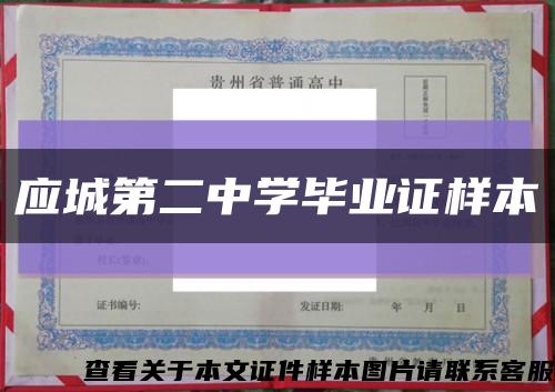 应城第二中学毕业证样本缩略图