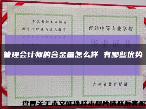 管理会计师的含金量怎么样 有哪些优势缩略图