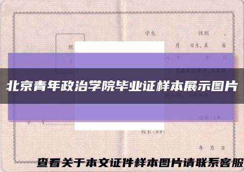 北京青年政治学院毕业证样本展示图片缩略图