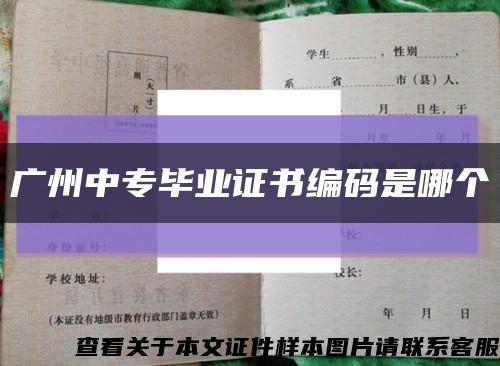 广州中专毕业证书编码是哪个缩略图