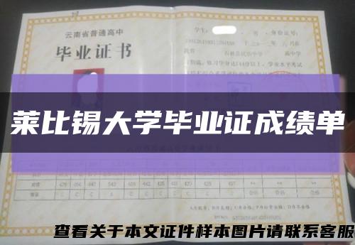 莱比锡大学毕业证成绩单缩略图