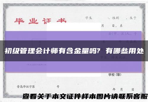 初级管理会计师有含金量吗? 有哪些用处缩略图