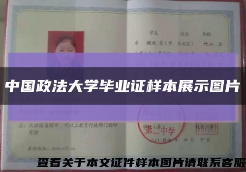 中国政法大学毕业证样本展示图片缩略图