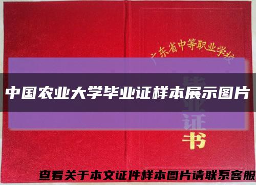 中国农业大学毕业证样本展示图片缩略图