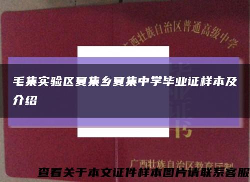 毛集实验区夏集乡夏集中学毕业证样本及介绍缩略图