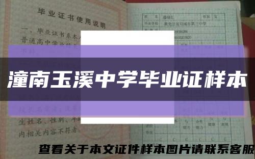 潼南玉溪中学毕业证样本缩略图